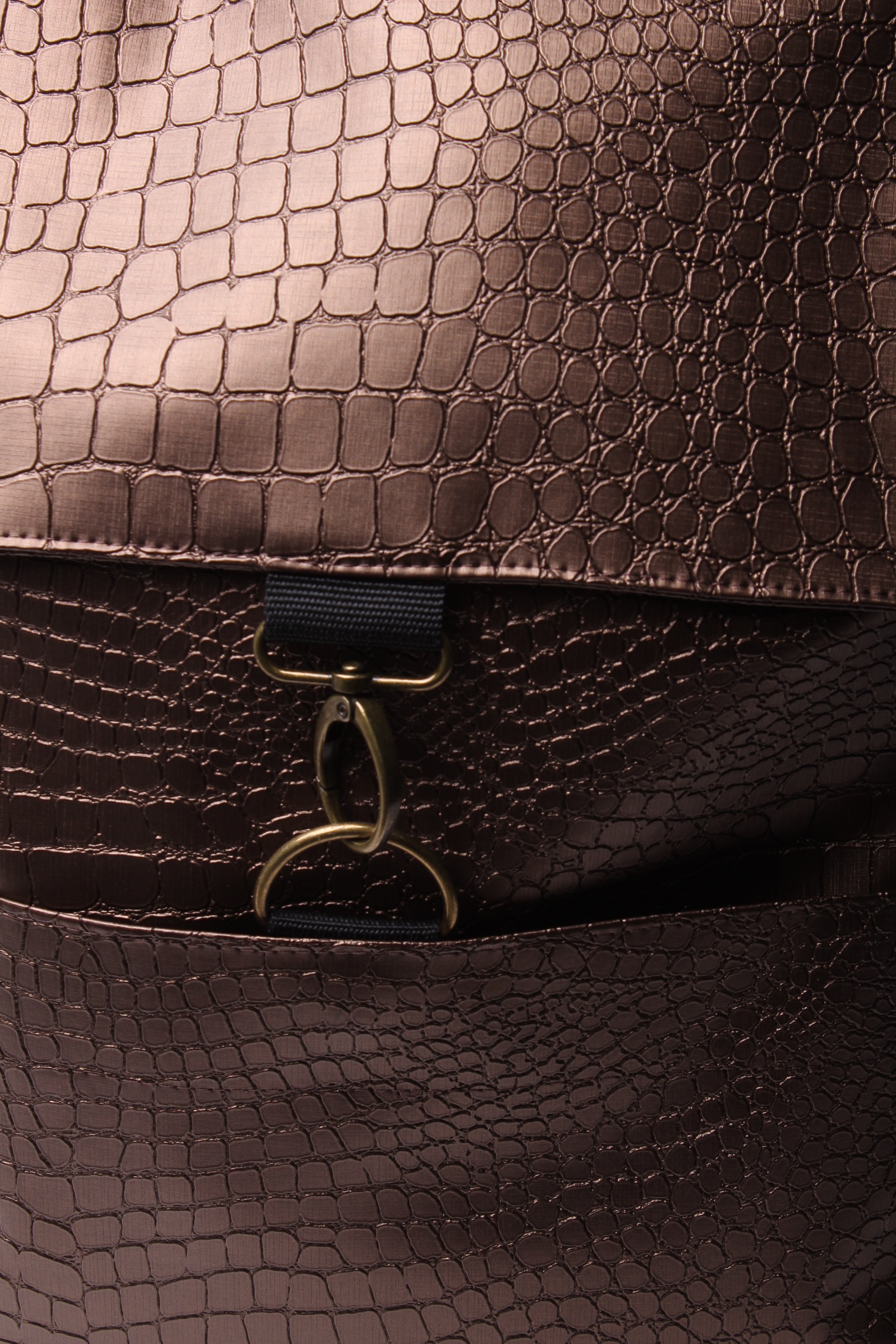 אקספרט פלוס ברונזה קרוקו