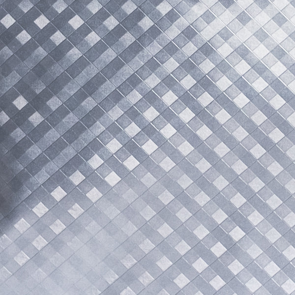 אקספרט כסוף תכלת נירוסטה